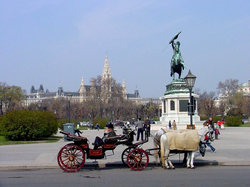 DOT Austria III Vienna Horse Carriage 1.jpg