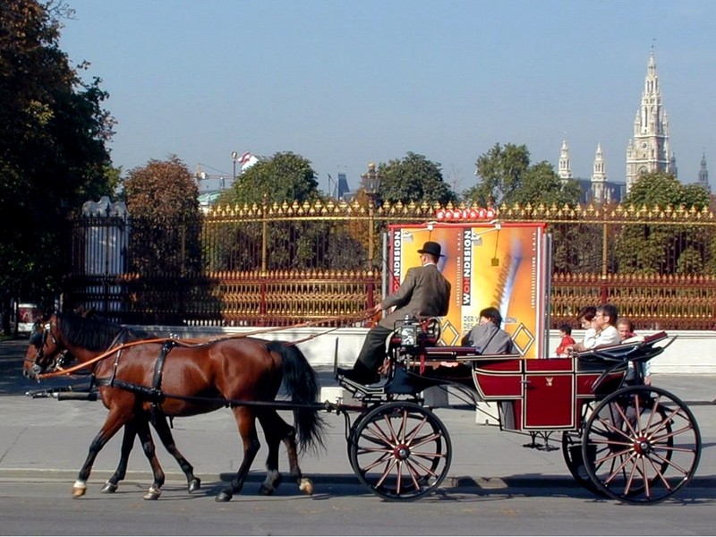 DOT Austria III Vienna Horse Carriage 2.jpg