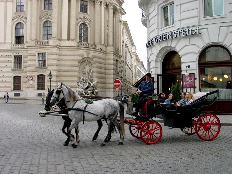 DOT Austria III Vienna Horse Carriage 3.jpg