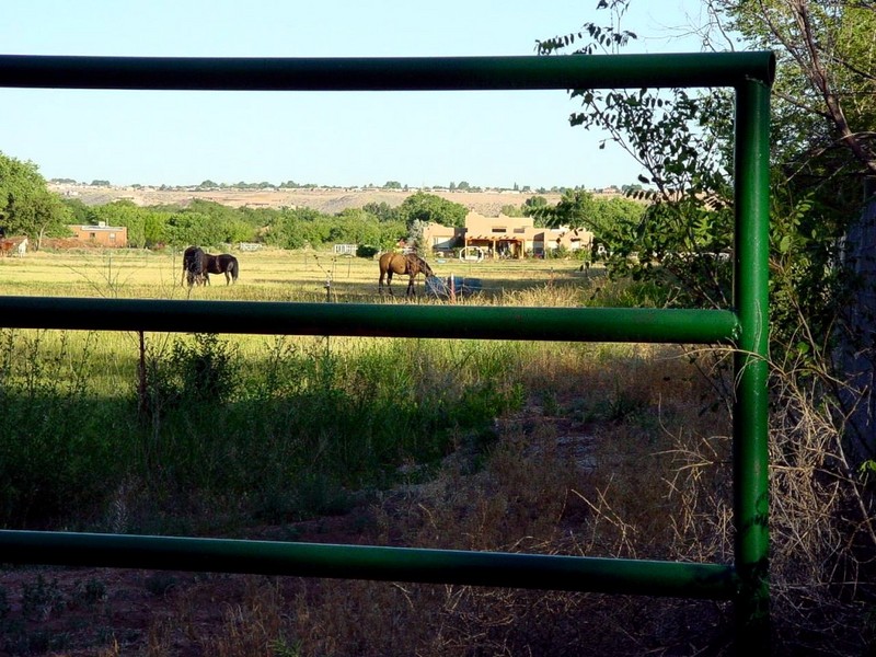 DOT New Mexico Farm Scenes 3.jpg