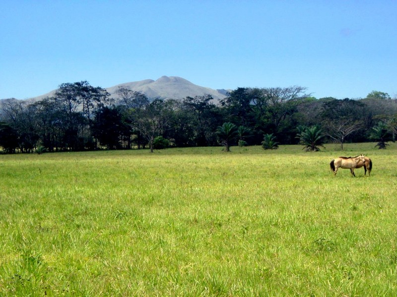 DOT Costa Rica Countryside 14.jpg