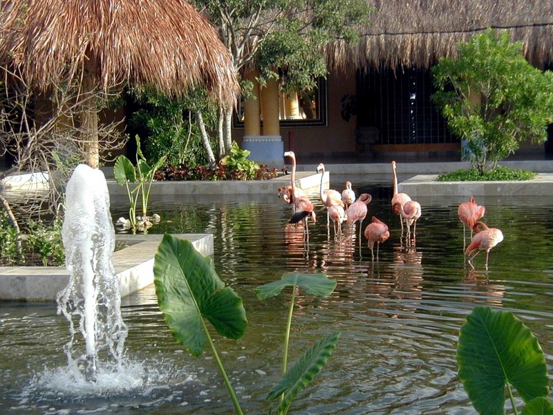 DOT Mexico Iberostar Resorts 01.jpg