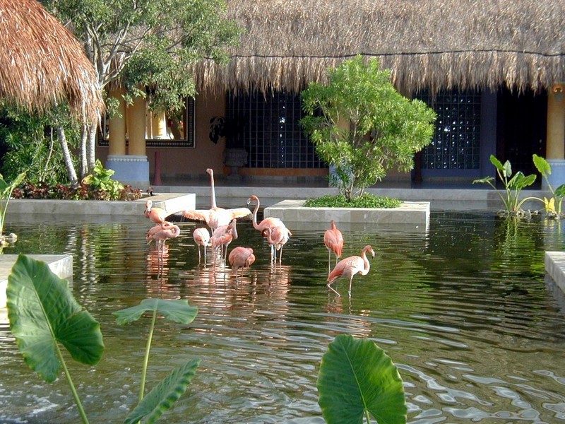 DOT Mexico Iberostar Resorts 02.jpg