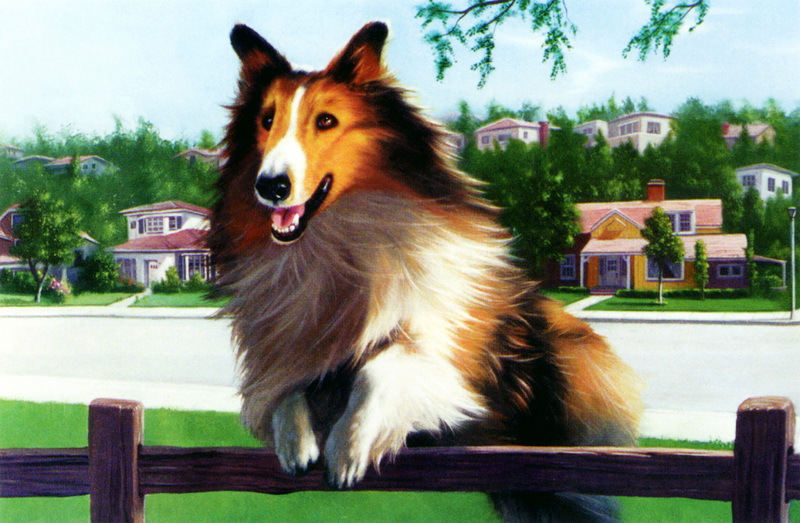 kb Warren Jim-Ad for Lassie.jpg