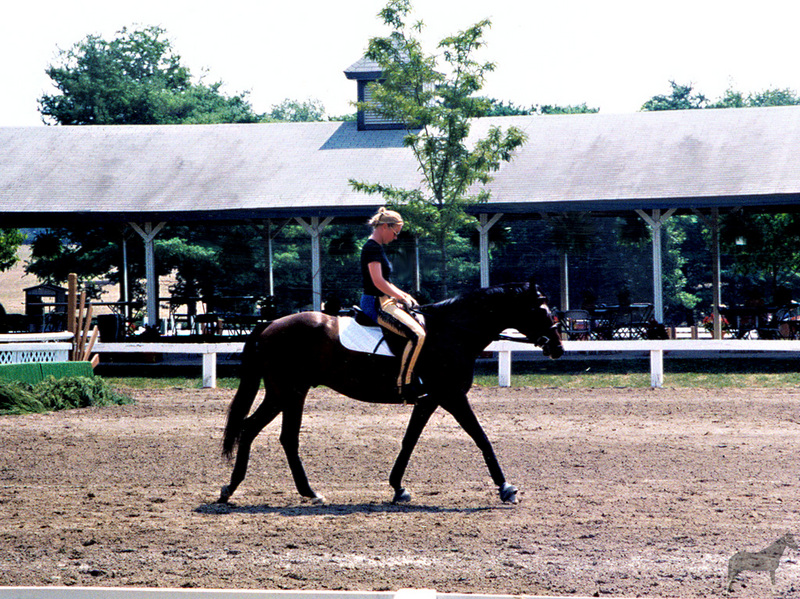 Equus-SDC13 Pre-Event Practice@Kentucky Horse Park Show.jpg