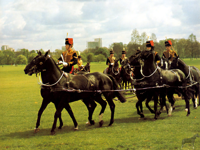 Equus-SDC17-King\'s Troop of the Royal Horse Artillery.jpg