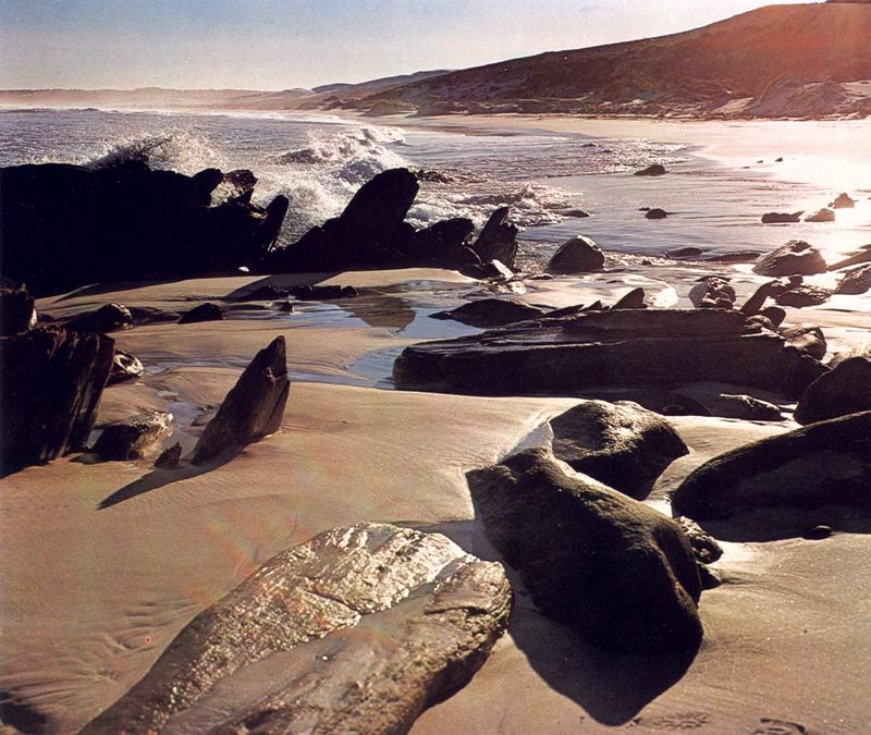 AWC147 A Lonely Beach oz.jpg