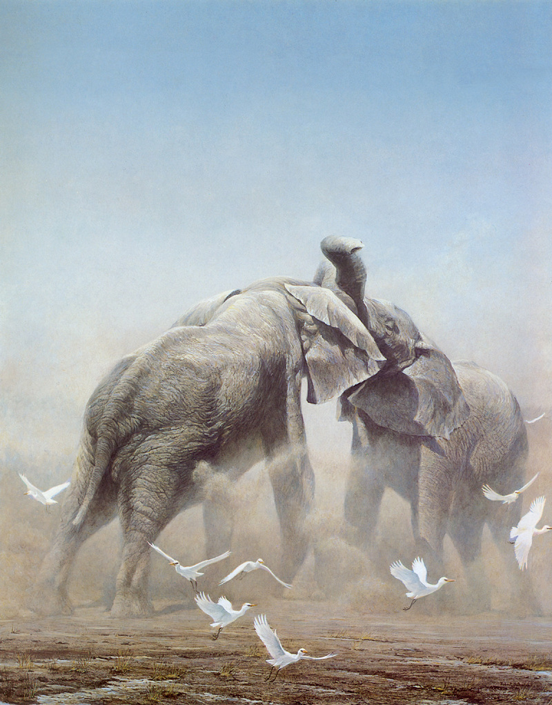 kb Bateman-Sparring Elephants.jpg