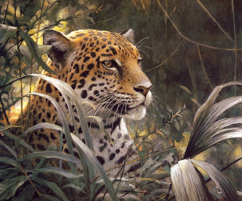 Bateman, Robert - Symbol of the Rainforest - Spotted Jaguar (end.jpg