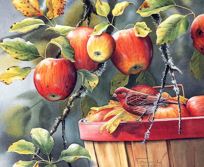 Bourdet, Susan - Fall Apple Harvest - Purple Finch (end.jpg
