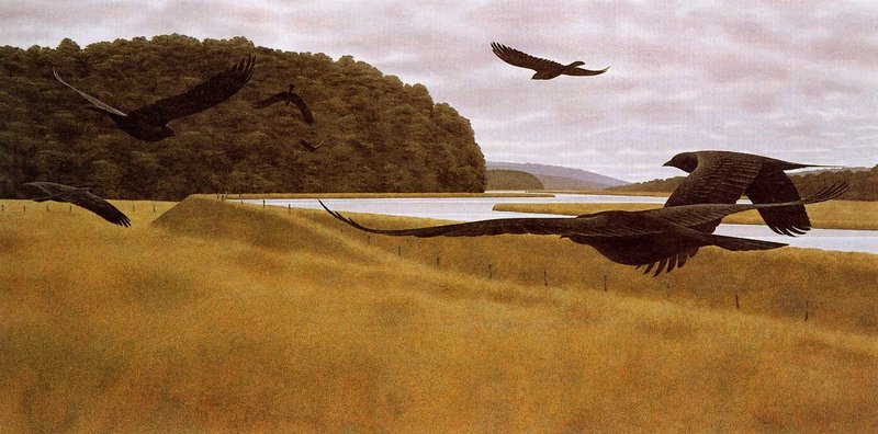 Colville, Alex - Seven Crows (end.jpg