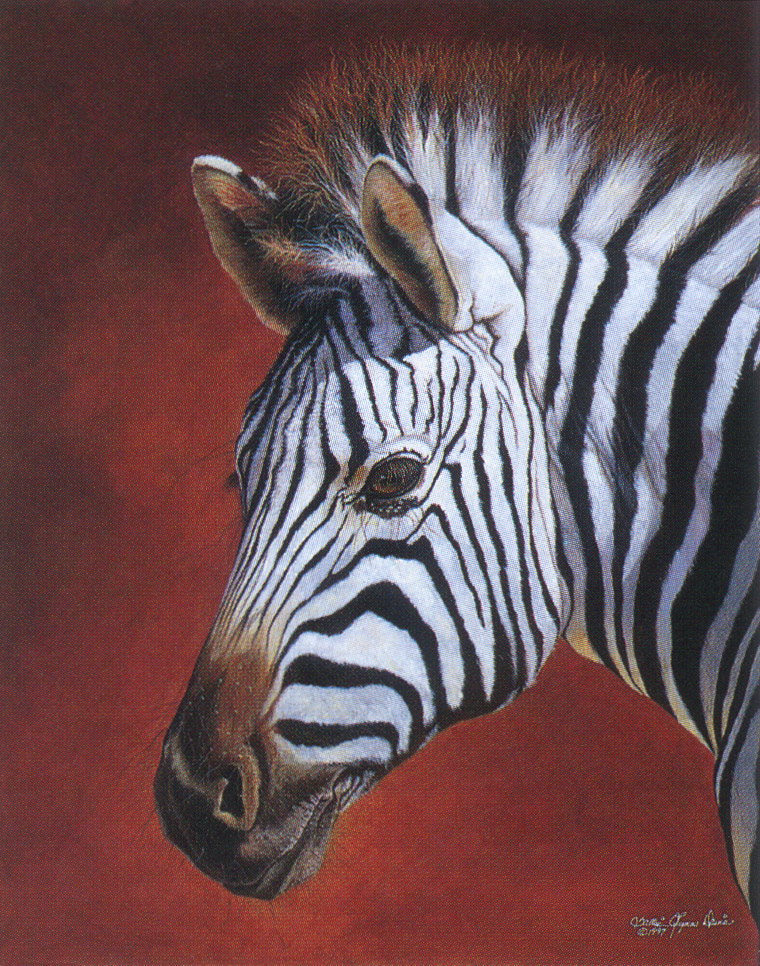 kb Davis Sallie-Domara Zebra.jpg