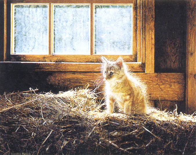 kb Ross Sueellen-Barn Kitten.jpg