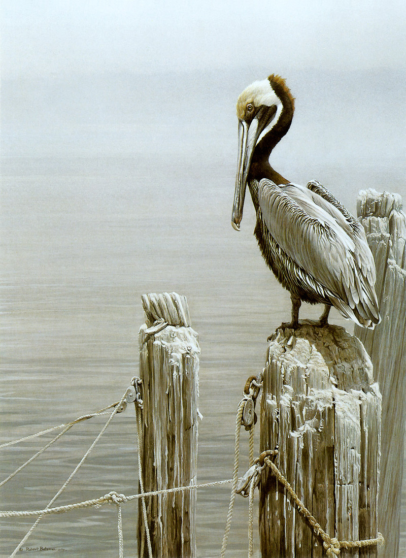 kb Bateman-Brown Pelican and Pilings.jpg