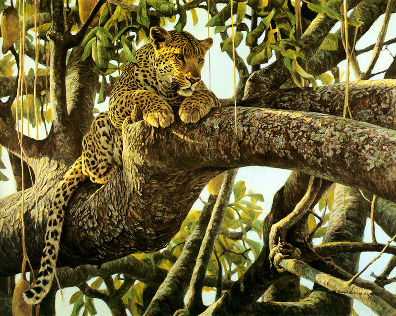 kb Bateman-Leopard in a Sausage Tree.jpg