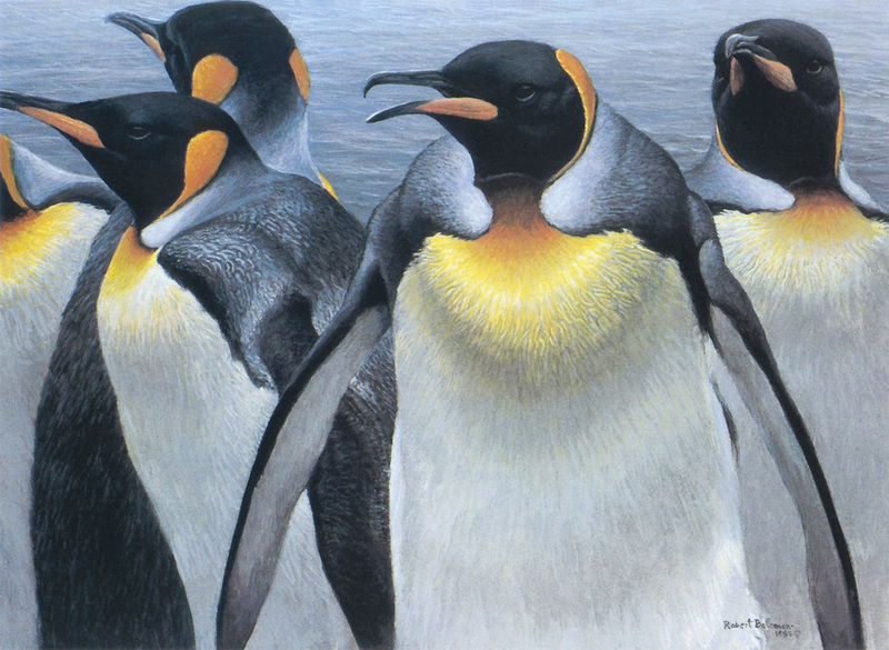 kb Bateman-King Penguins.jpg
