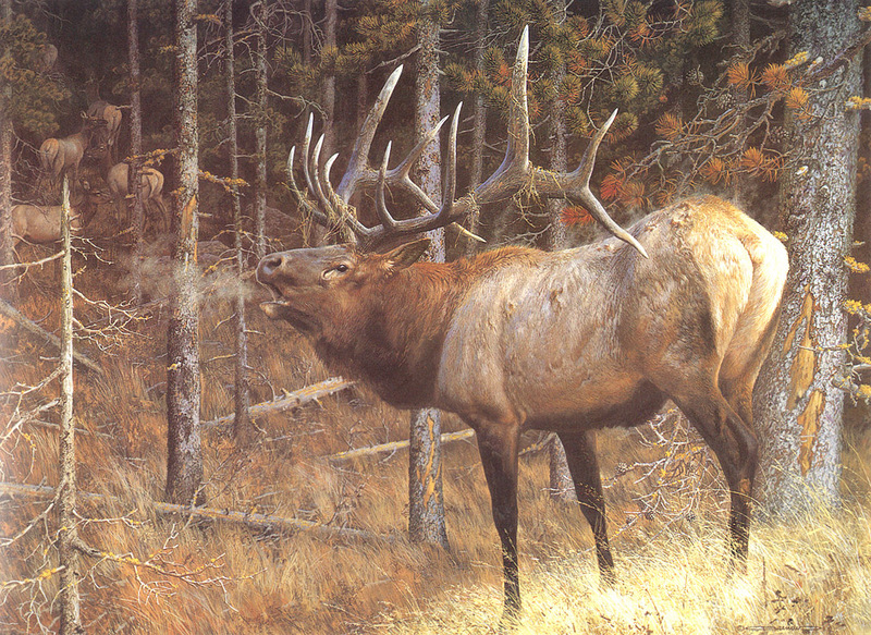 kb Brenders Carl-A Hunter\'s Dream.jpg