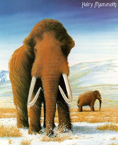 Mammoth-sj.jpg