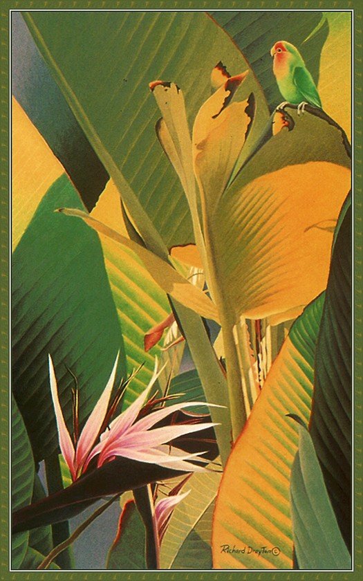 cr RichardDrayton-LoveBirdOfParadise.jpg