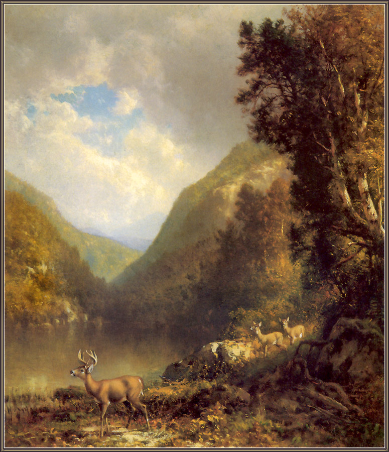 cr WilliamHart-01-DeerInTheAdirondacks1878.jpg