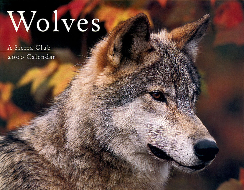 p-Wolves SierraCal2000 Front.jpg