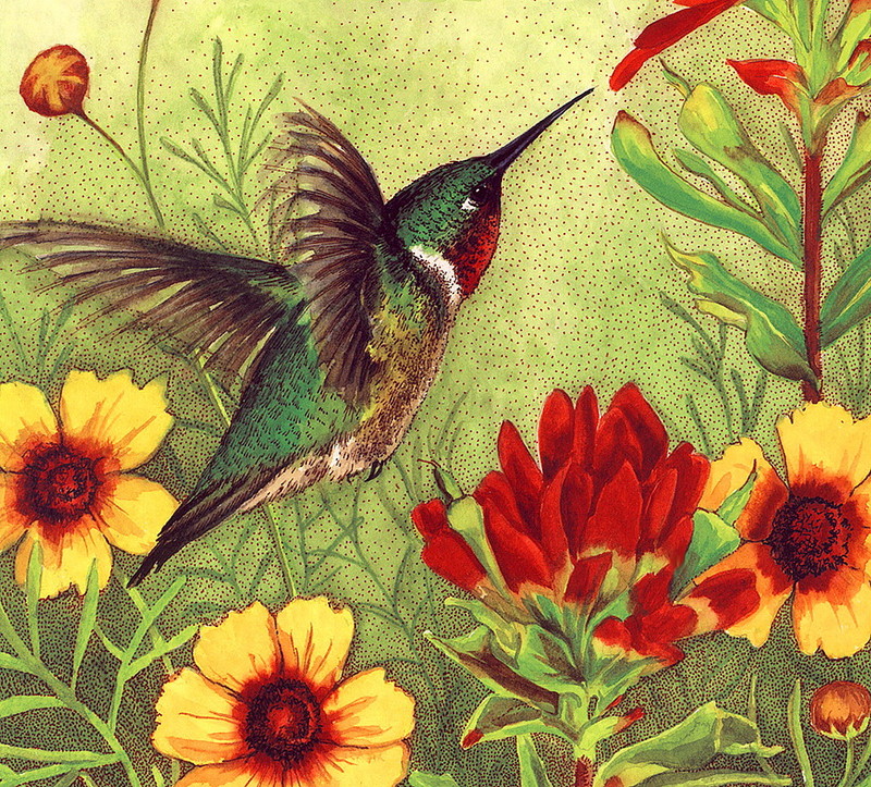 lrsNiceClaudiaHummingbird.jpg