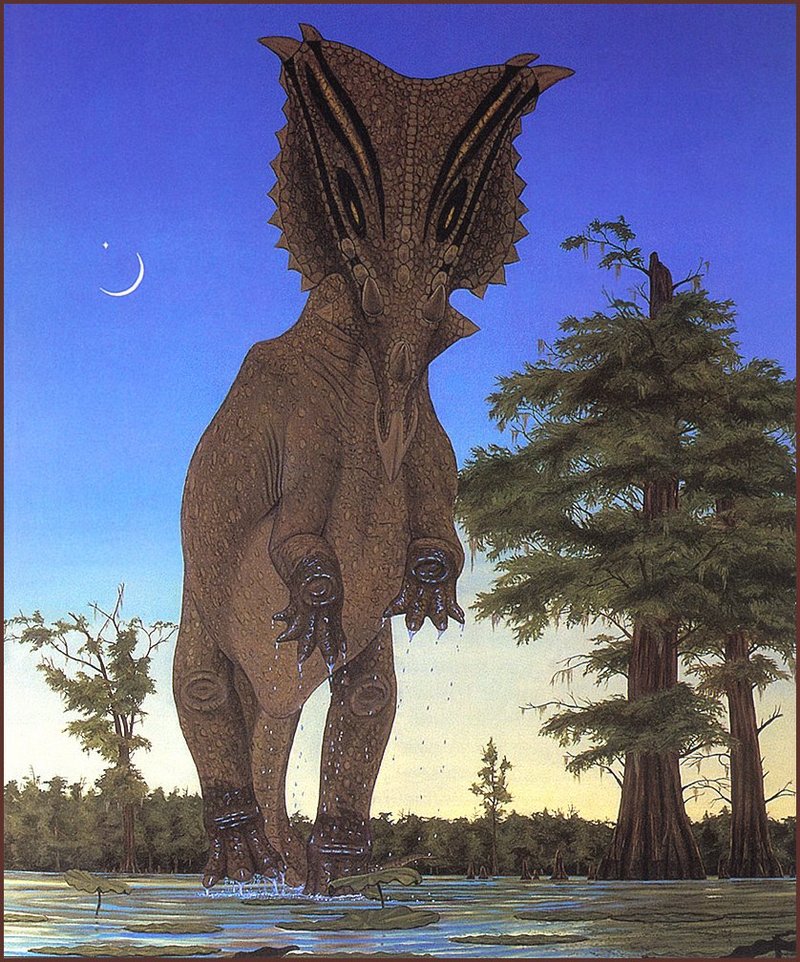 lrsD03PaulGregory-Chasmosaurus.jpg