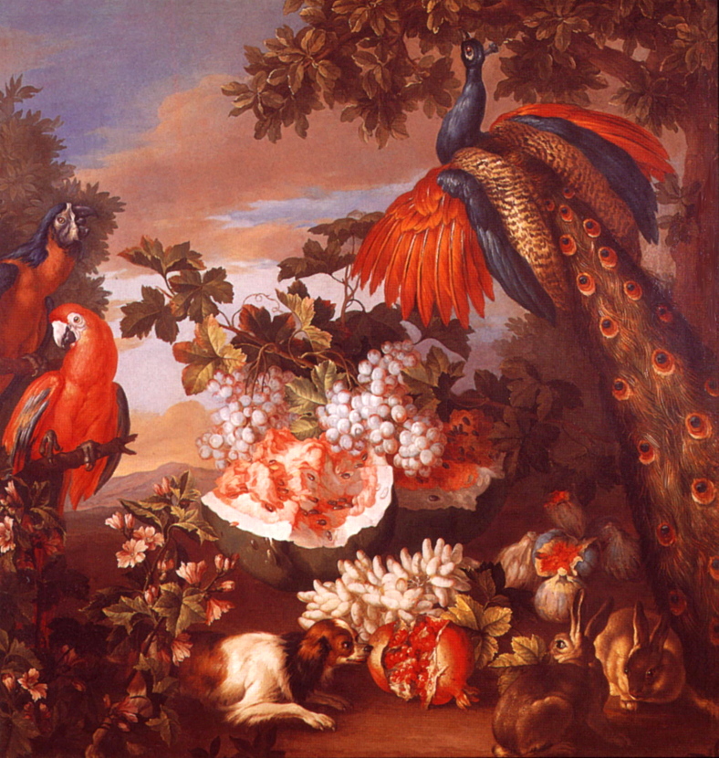 lrs-MonnoyerJ Baptiste-Fruit & Exotic Birds.jpg