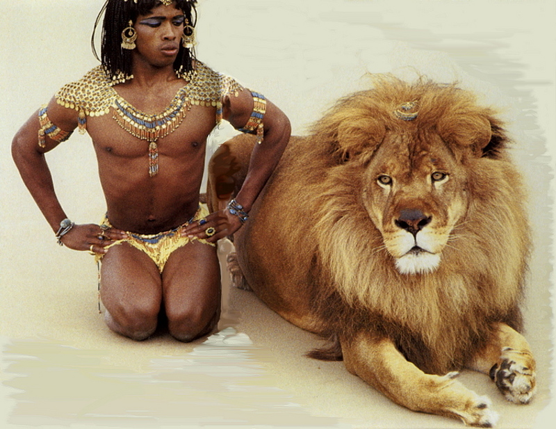 lrs-Vavra\'s Cats-African Lion.jpg