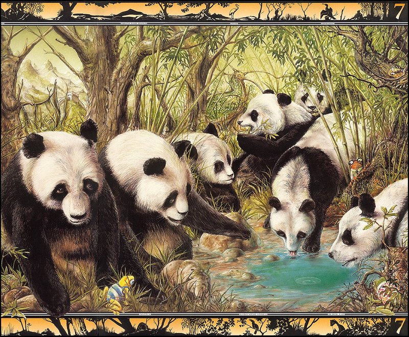 lrsBaseGraeme-Waterhole07Pandas.jpg