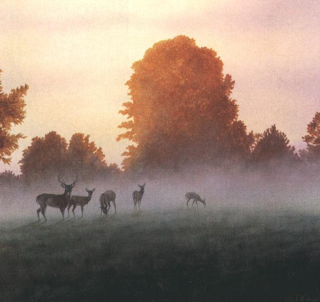 Bob Henley 4-Deers-in the mist-painting.jpg