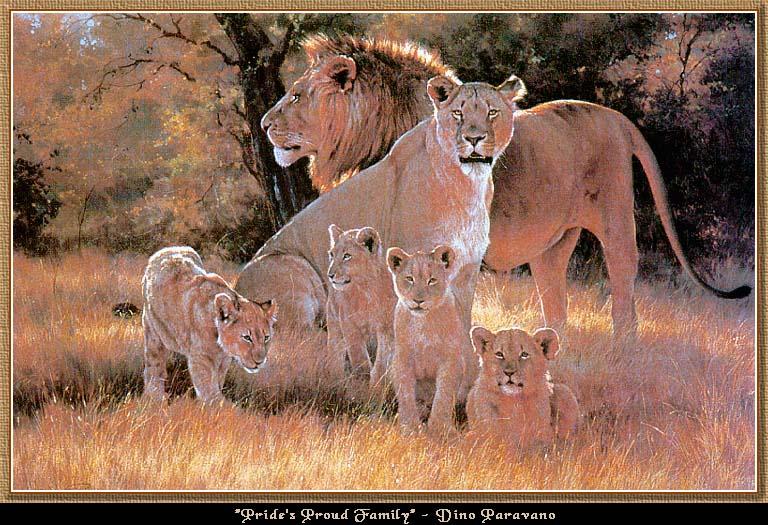 wwart127-African Lions-Pride\'s Proud Family.jpg