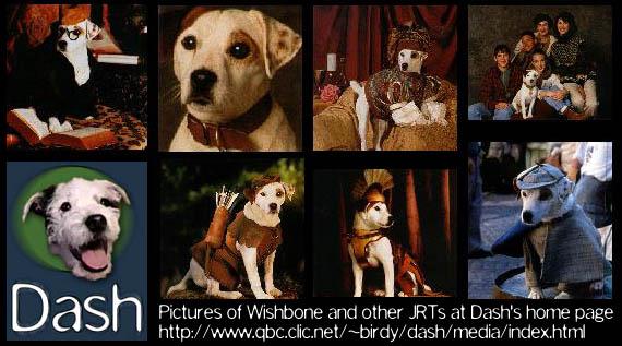 Dog-Wishbone The Jack Russell Terrier index.jpg