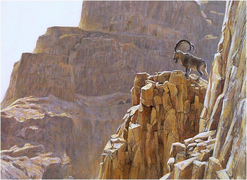 Bateman - Ibex at Masada Study 1996 zw.jpg