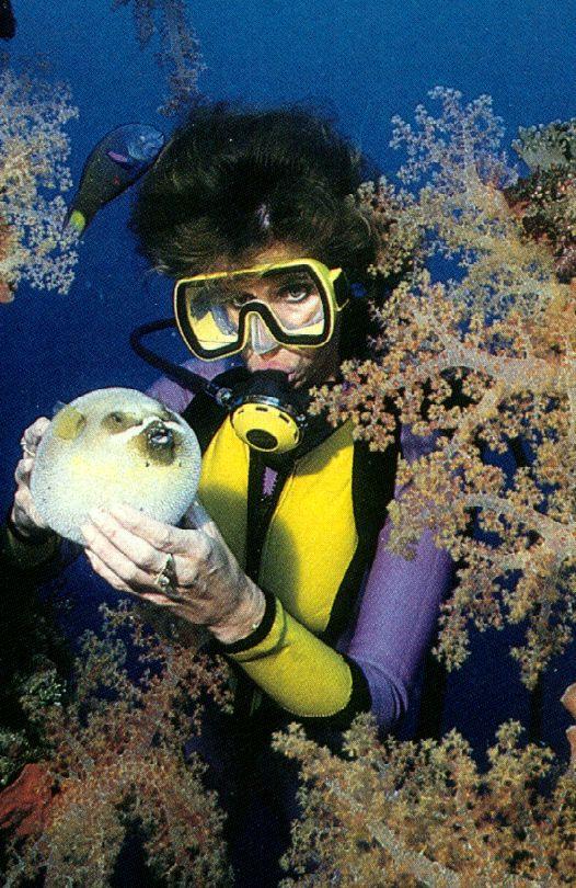 alb20015-Cowfish-and-corals-with scuba diver.jpg