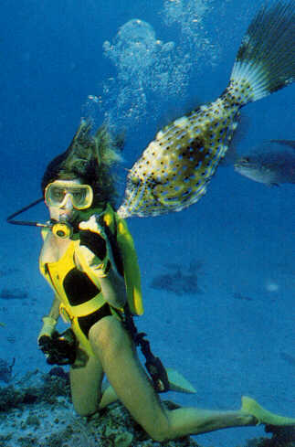 alb30178-Cowfish-and-Scuba Diver Girl.jpg