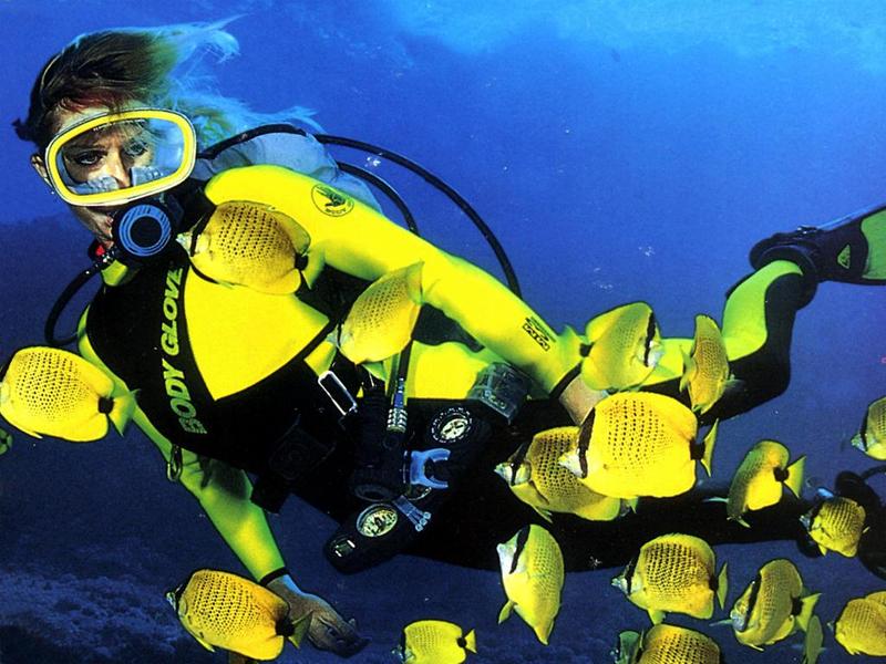 scubababe 378-Yellow Butterflyfishes-with-diver girl.jpg