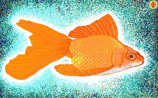art-goldfish078.jpg