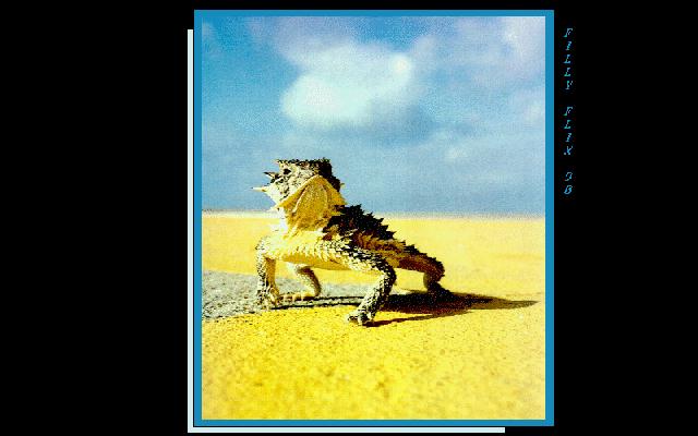 Desert Horned Lizard-anim081.jpg