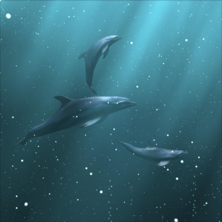 Bottlenosed Dolphins-Art.jpg