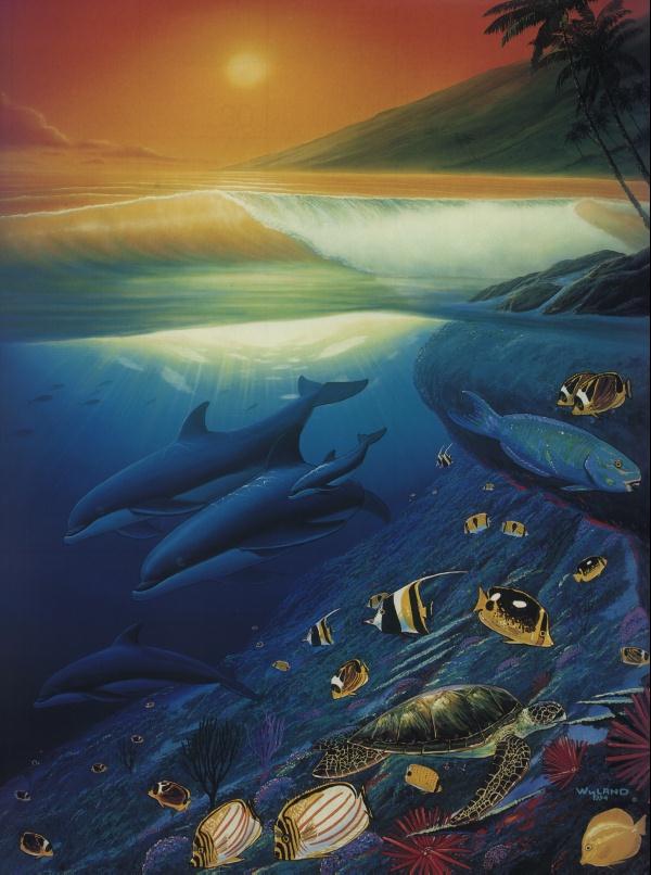 TheArtOf-Bottlenose Dolphins-GreenSeaTurtle-TropicalFishes.jpg