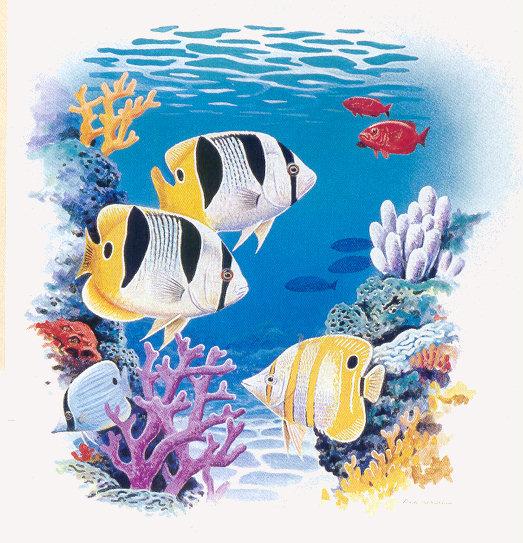 lj David Wenzel Reef Fish.jpg