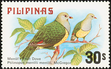 Ptilinopus merrilli 1979 stamp of the Philippines - cream-breasted fruit dove (Ptilinopus merrilli).jpg