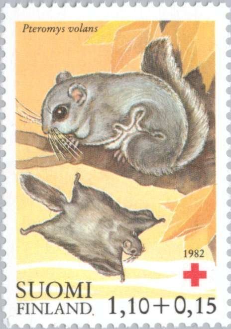 Stamp of Finland - 1982 - Colnect 46991 - Siberian Flying Squirrel Pteromys volans.jpeg