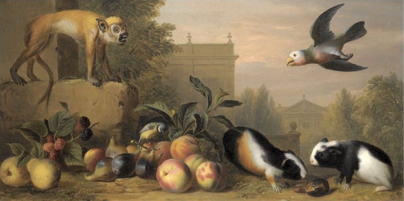 'Capuchin squirrel monkey, two guinea pigs, a blue tit and an Amazon St. Vincent parrot with Peaches, Figs and Pears in a landscape'.jpg