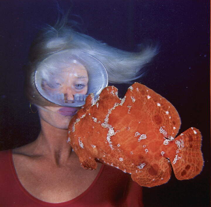 scub0530-Frogfish-with diver girl.jpg