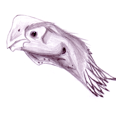 Oviraptor philoceratops profile1.jpg