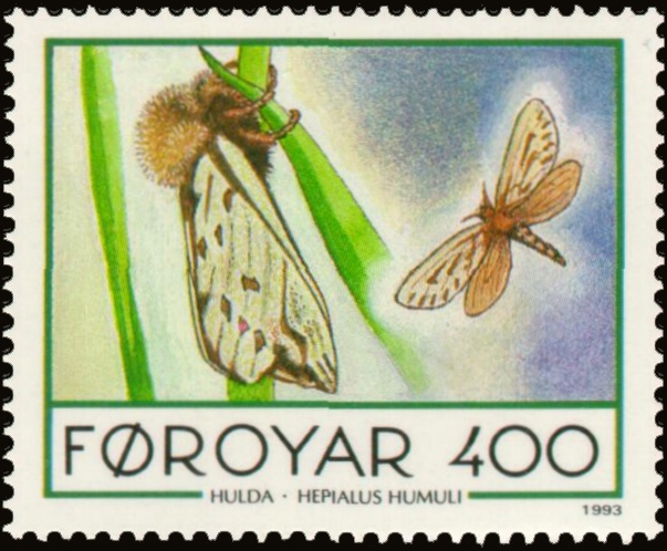 Faroe stamp 245 Hepialus humuli-ghost swift moth.jpg