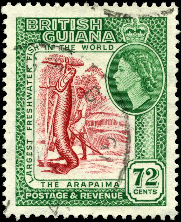 Stamp British Guiana 1954 72c-Pirarucu, Giant Arapaima (Arapaima gigas).jpg