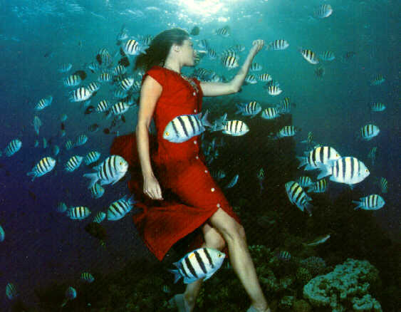 alb30350-tropical fishes-with lady in red.jpg